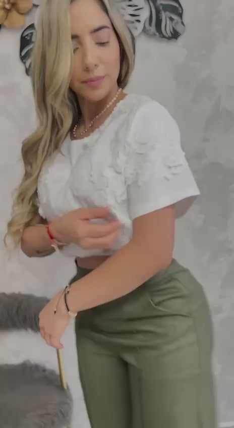 Conjunto Realce